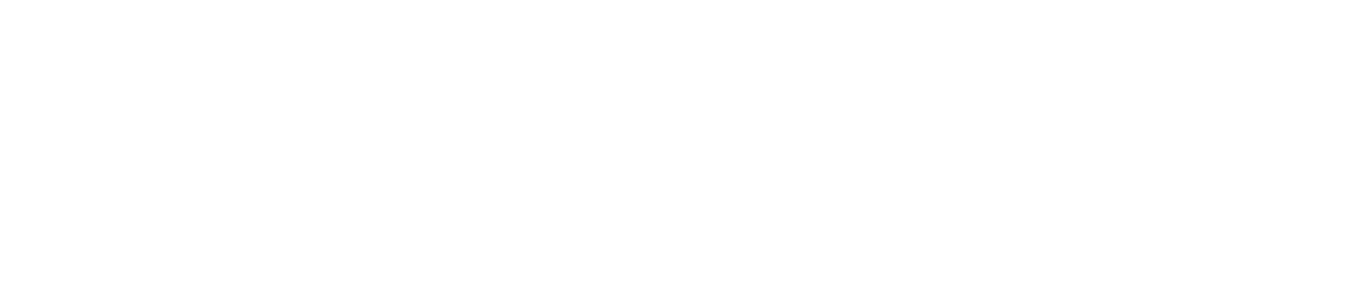 SUBSTANZ BAU Logo Negativ